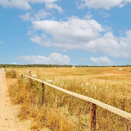 Possessio Sa Barrala Gallinero Campos  Ngoại thất bức ảnh